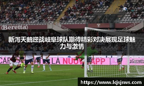 盛世国际网站入口